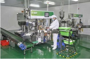 愛護工廠參觀之旅 以匠心與品質，鑄就皮革制品的卓越承諾